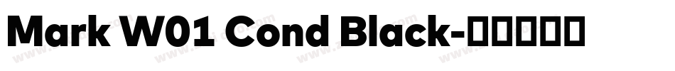 Mark W01 Cond Black字体转换